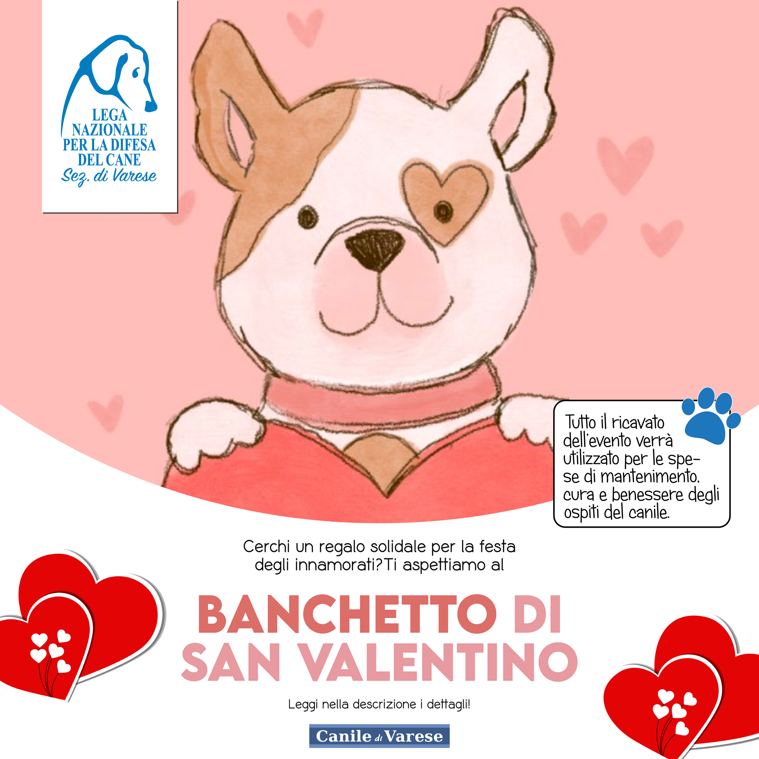 san valentino canile varese banchetto solidale amore lega nazionale per la difesa del cane