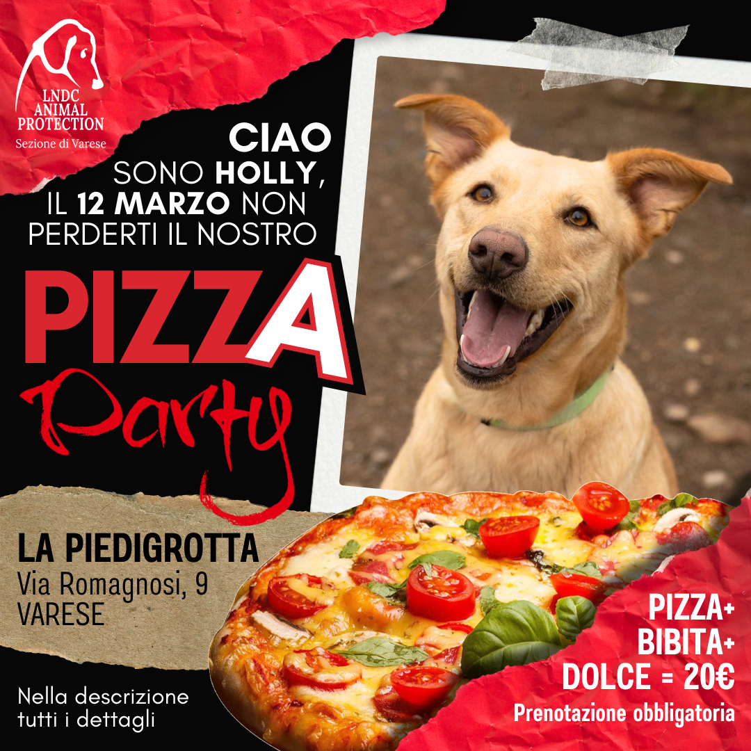 pizza piedigrotta varese canile varese evento benefico