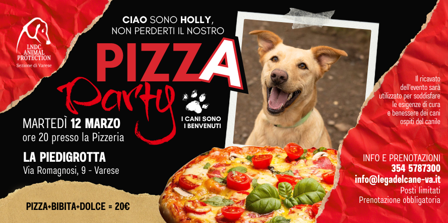 pizza piedigrotta varese canile varese evento benefico