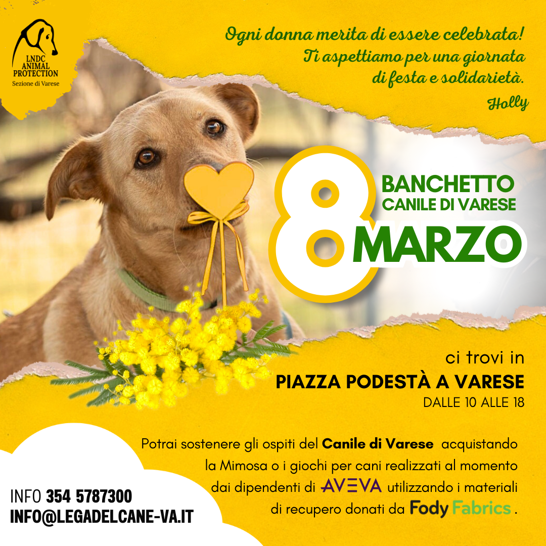 festa della donna 8 marzo CANILE DI VARESE ADOZIONE A DISTANZA mimosa aveva millepiedi fody fabric riciclo