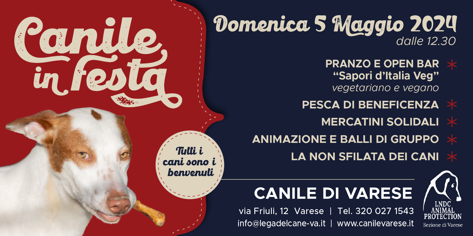 canile, festa, lega del cane varese, siua, dog photo varese, supermax, sfilata cani, beneficenza, regali solidali