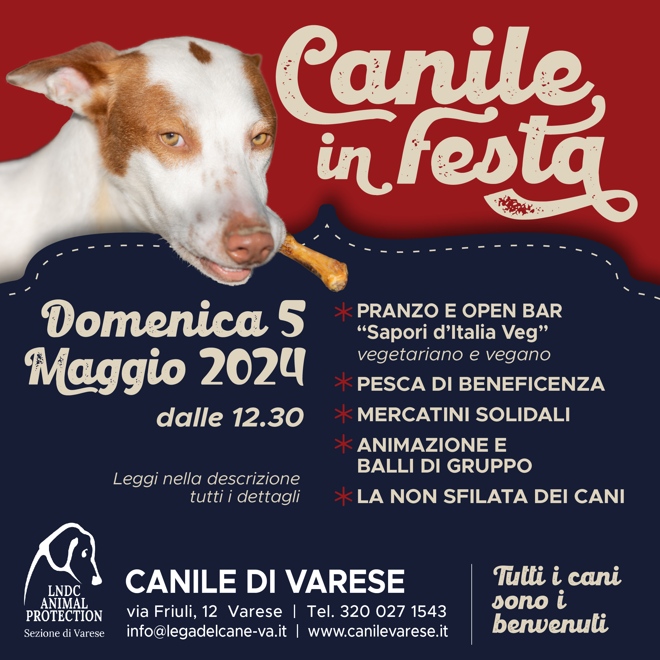 canile, festa, lega del cane varese, siua, dog photo varese, supermax, sfilata cani, beneficenza, regali solidali