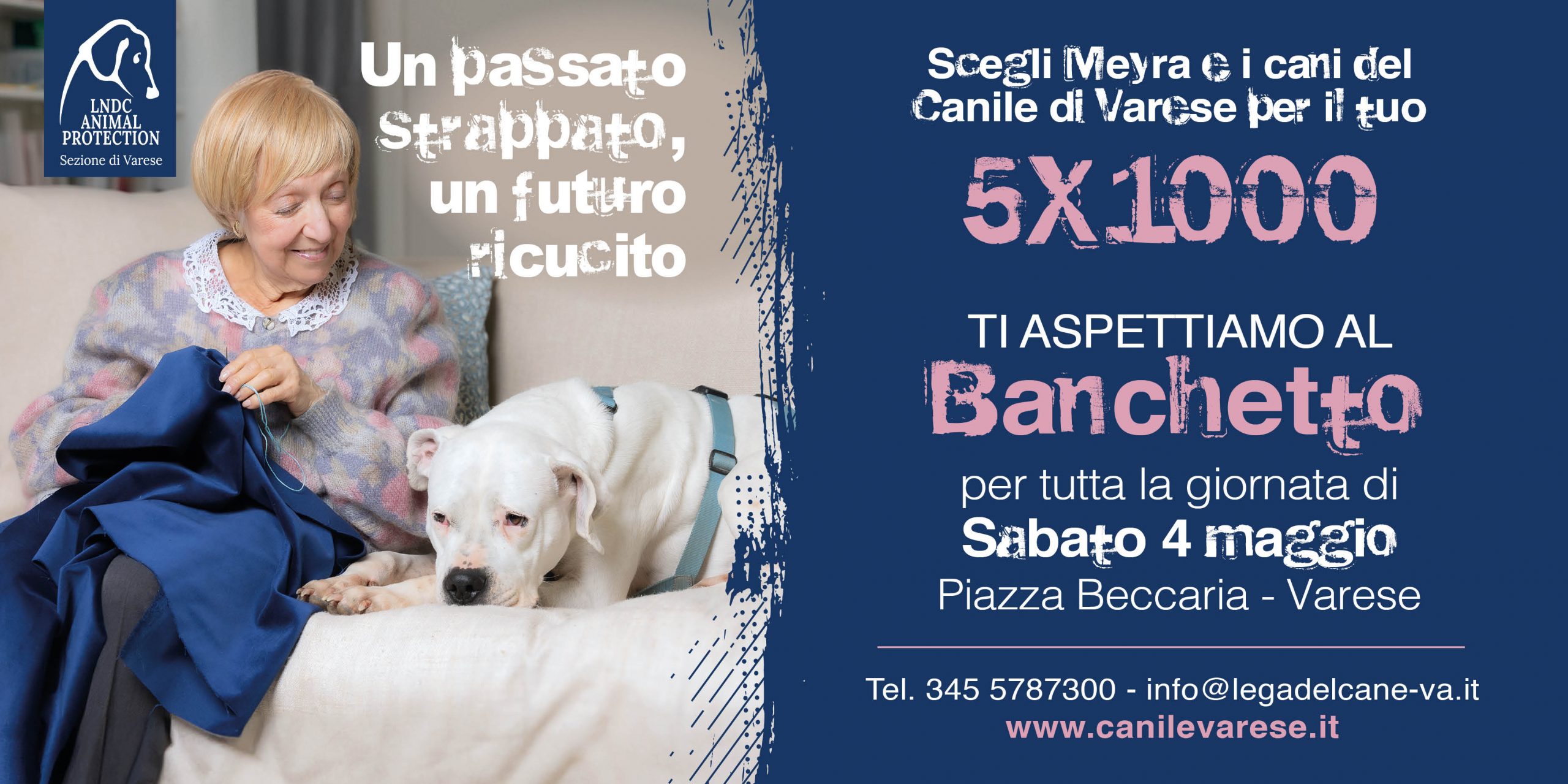dona il 5x1000 al canile di varese