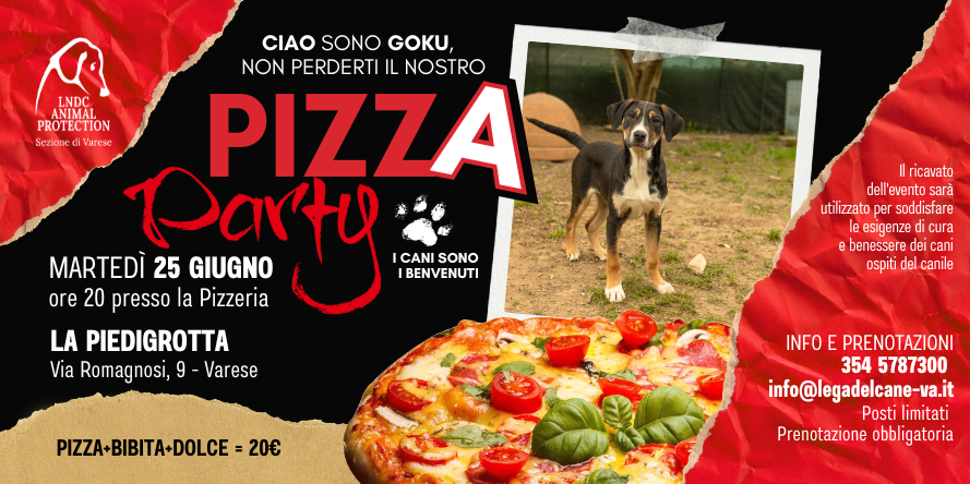pizza piedigrotta varese canile varese evento benefico