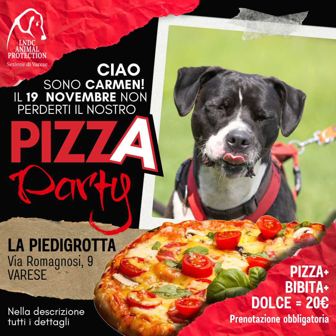 pizza piedigrotta varese canile varese evento benefico