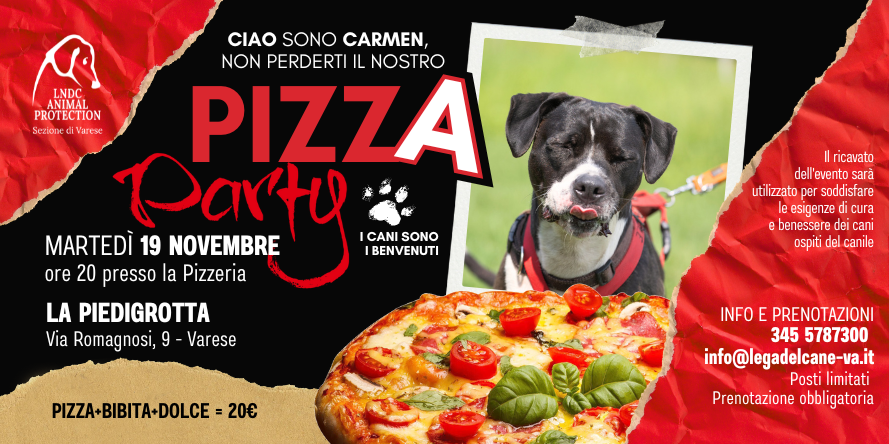 pizza piedigrotta varese canile varese evento benefico