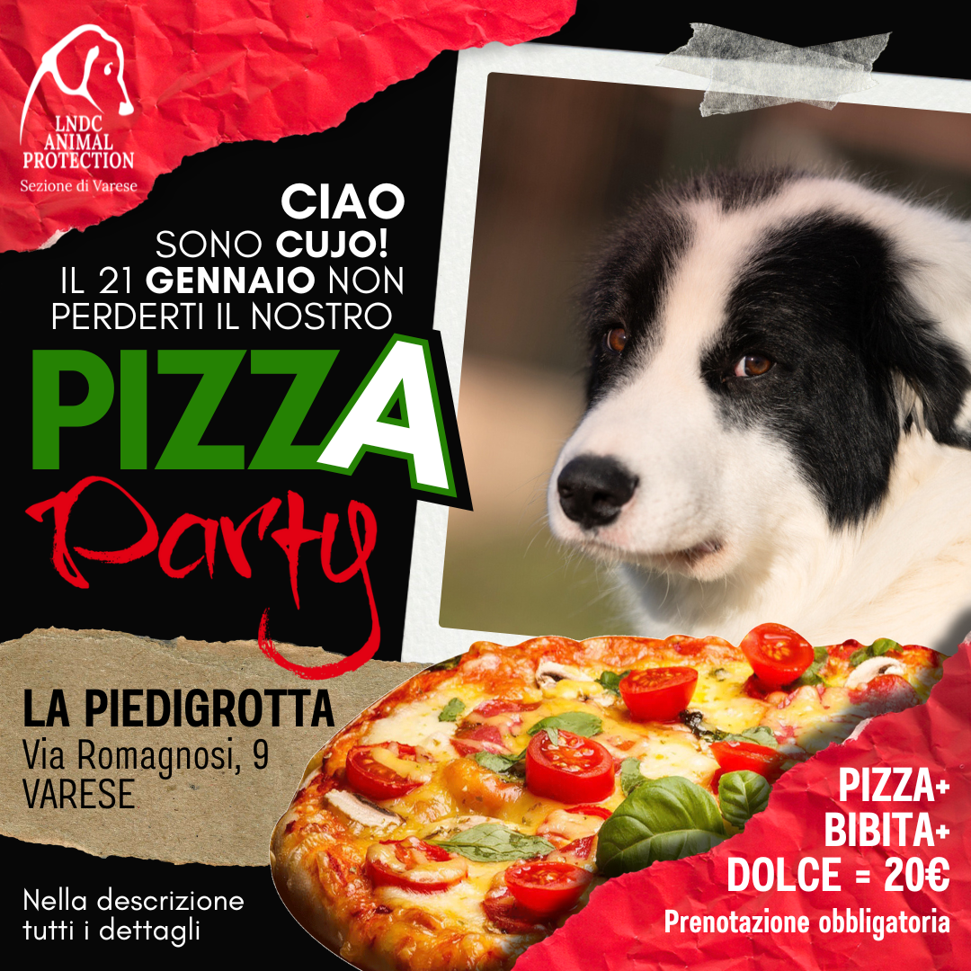 pizza piedigrotta varese canile varese evento benefico