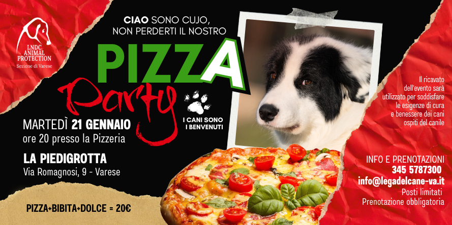 pizza piedigrotta varese canile varese evento benefico