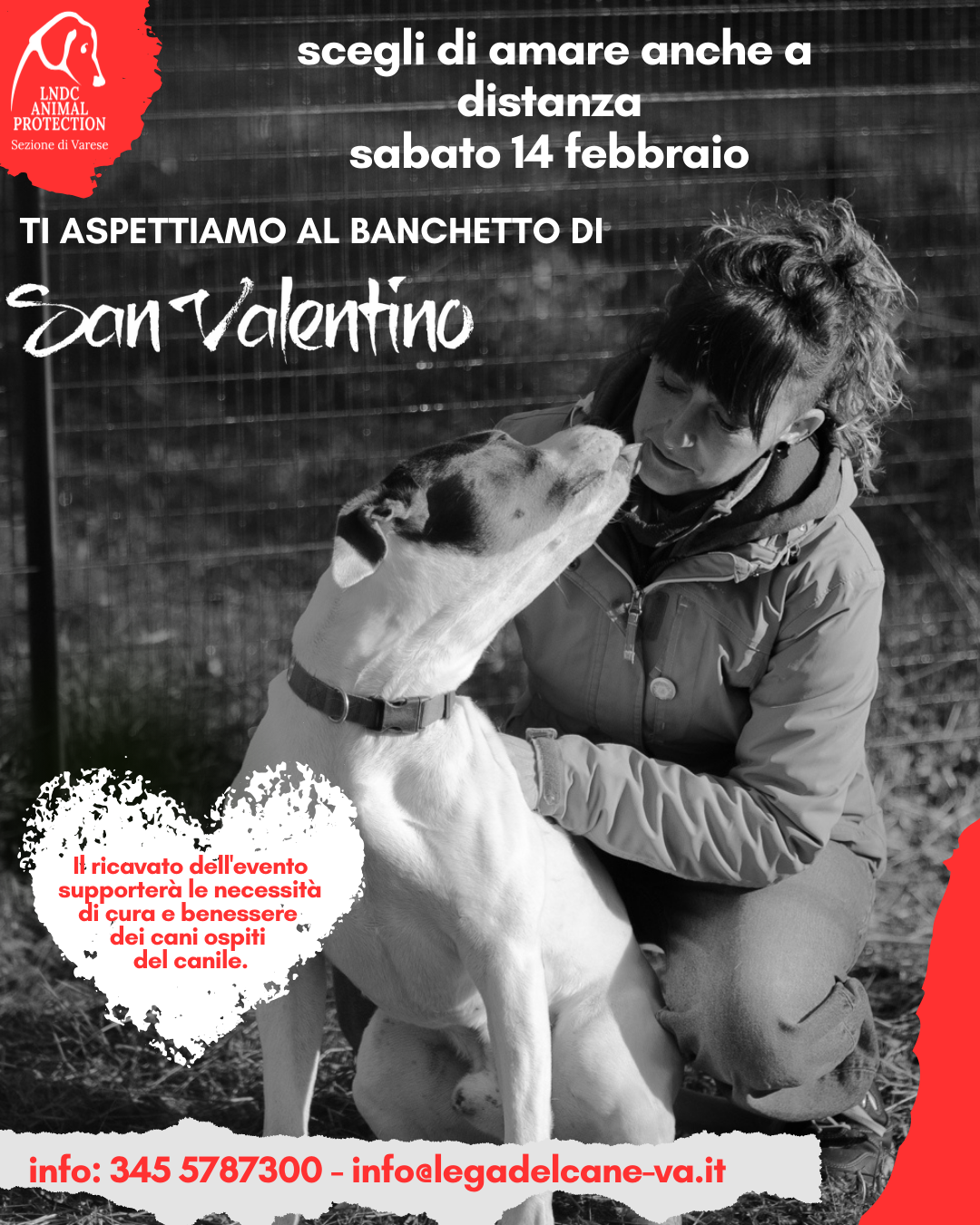 san valentino canile varese banchetto solidale amore lega nazionale per la difesa del cane