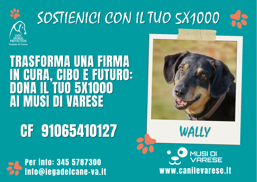 5x1000  canile di varese musi di varese #CanilediVarese #Varese #MusodelMese #MusidiVarese 
